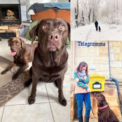 13. Collage- Challenge 
Beschäftigung in der kalten Jahreszeit-Beitrag-Bild