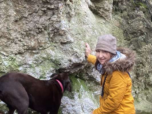 21. Collage Challenge 
Du und dein Hund-Beitrag-Bild