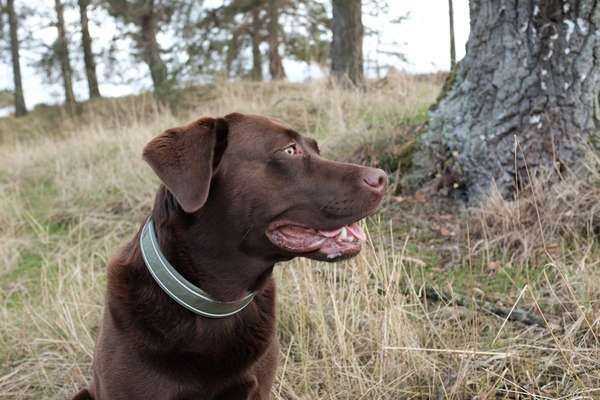 Zeigt eure Portraits-Beitrag-Bild