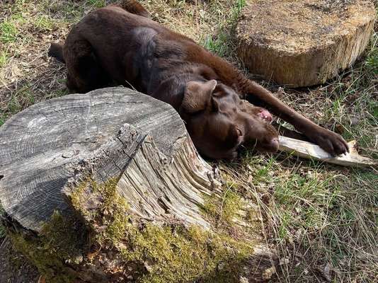 Theos Fotochallenge Nr. 3-Beitrag-Bild