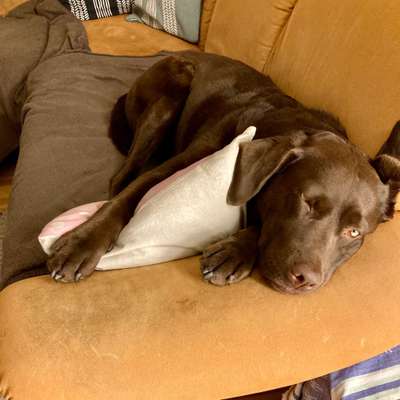 Foto Challange Nr.80-Beitrag-Bild