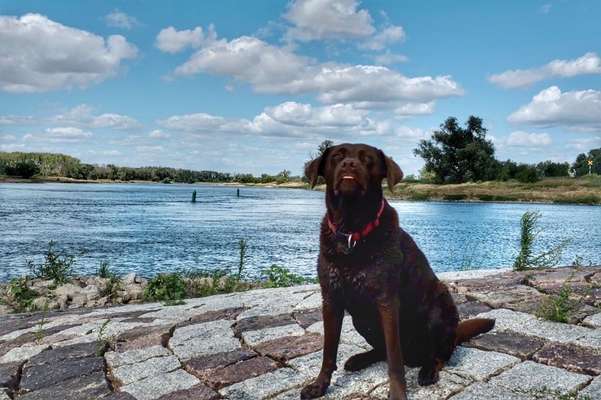 Theos Fotochallange Nummer 4-Beitrag-Bild