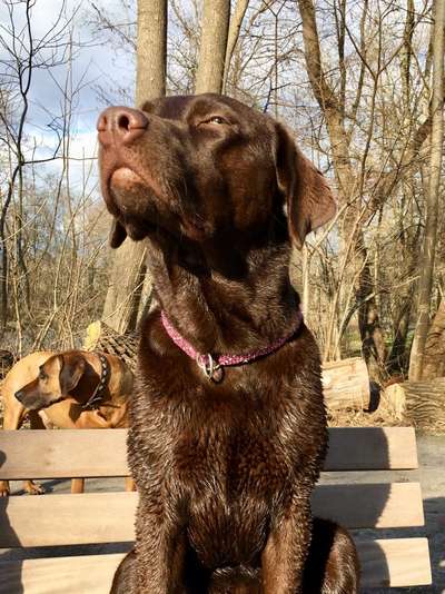 Fotochallenge 87: Im Park-Beitrag-Bild