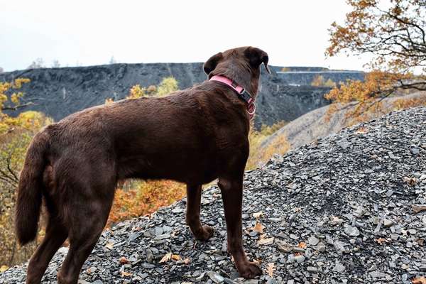 Fotochallenge Nr 107-Beitrag-Bild