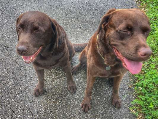 Fotochallenge 88-Beitrag-Bild