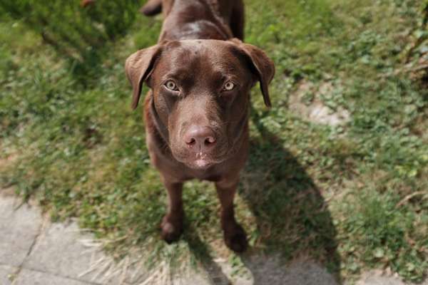 Handy-Foto Challange Nr. 10-Beitrag-Bild