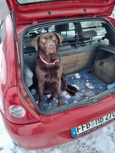 11. Farben Foto Challenge Rot-Beitrag-Bild