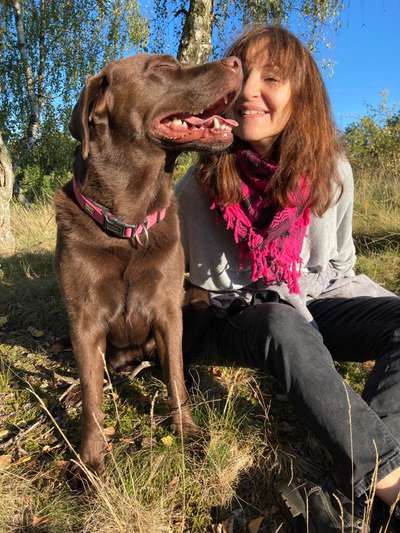 21. Collage Challenge 
Du und dein Hund-Beitrag-Bild