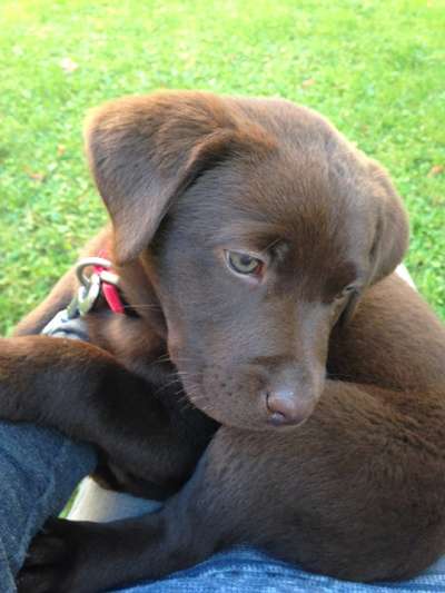 Erstes Bild-Beitrag-Bild