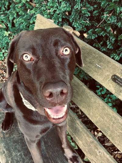 Fotochallange Nr. 57     PORTRÄT.   Beendet!!!!!!!!-Beitrag-Bild