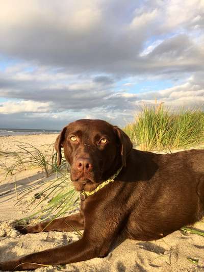 Eure Strandbilder :)-Beitrag-Bild