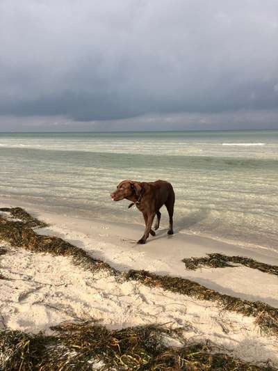 Fotochallenge Nr.100 Urlaubsimpressionen-Beitrag-Bild