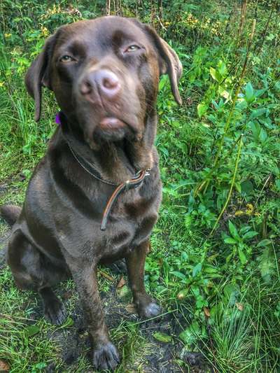 Lieblingsbild-Beitrag-Bild