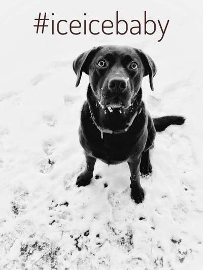 Der erste Schnee, zeigt uns eure tollen Schneemomente-Beitrag-Bild