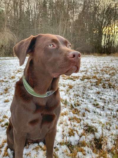 Doppelgänger gesucht !-Beitrag-Bild