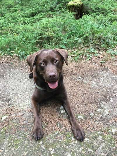 Fotochallenge Nr. 67: Euer Lieblingsbild-Beitrag-Bild