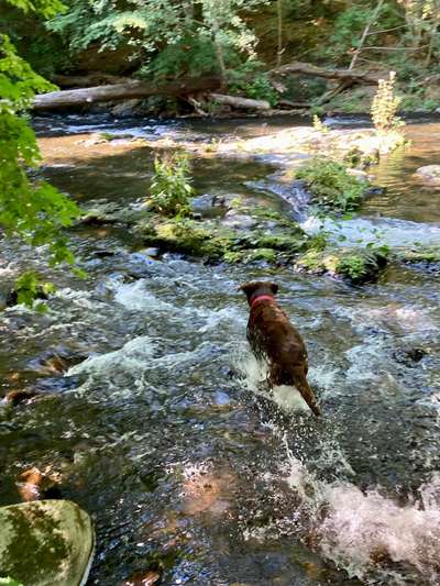 Foto Wettbewerb-Beitrag-Bild