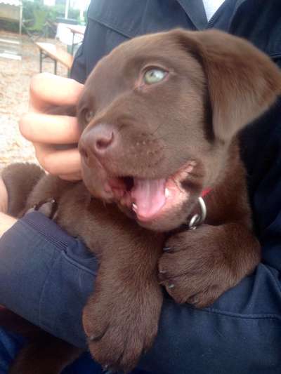 Foto Challenge 82-Beitrag-Bild