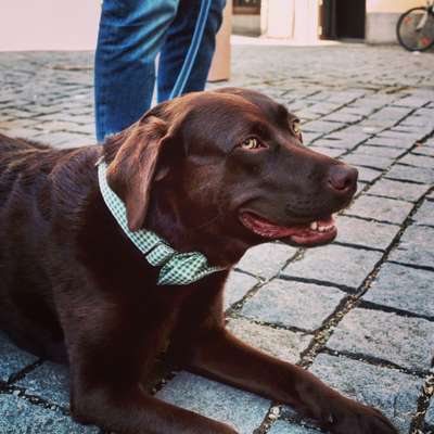 Fotochallenge Nr. 29 - Accessoires-Beitrag-Bild