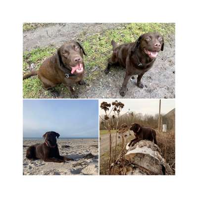 32. Collagen Challenge - eure liebsten gestellten Fotos-Beitrag-Bild