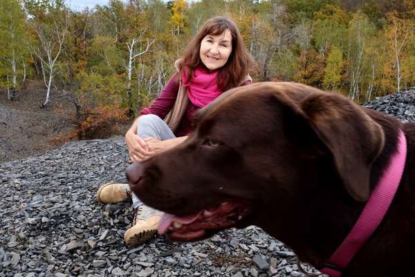 21. Collage Challenge 
Du und dein Hund-Beitrag-Bild