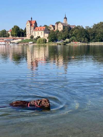 151. Photo Challenge: Sehenswürdigkeiten-Beitrag-Bild