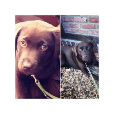 28. Handy-Fotochallenge - Damals und heute-Beitrag-Bild