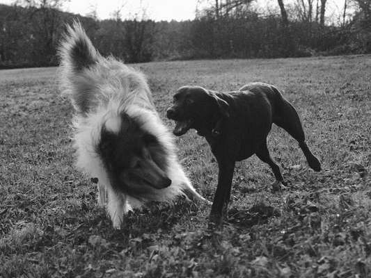 3. Farben/Fotochallenge: Schwarz/Weiß-Beitrag-Bild