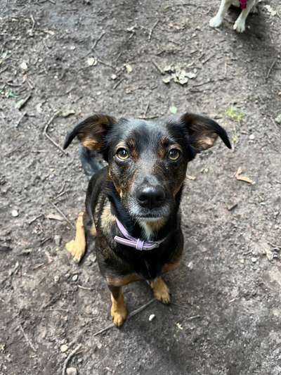 Doppelgänger gesucht !-Beitrag-Bild