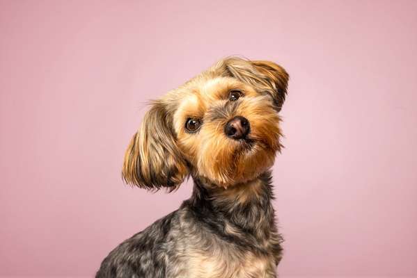 Austausch zur Fotografie-Beitrag-Bild