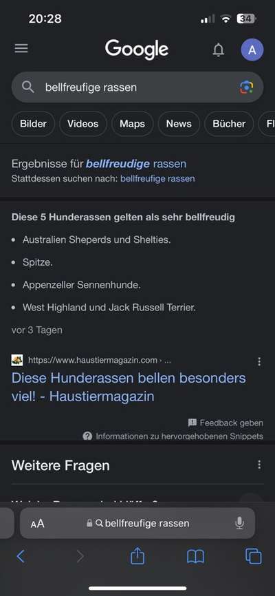 Großer oder kleiner Hund ?-Beitrag-Bild