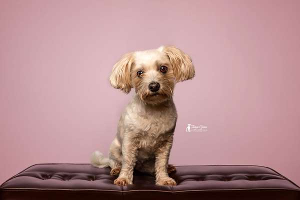 Austausch zur Fotografie-Beitrag-Bild