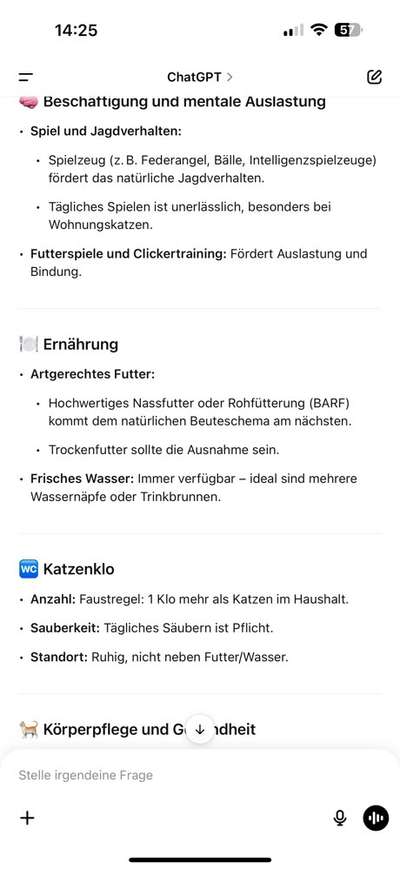 Katzen Spaziergang-Beitrag-Bild