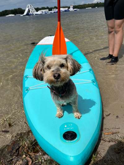 Doppelgänger gesucht !-Beitrag-Bild