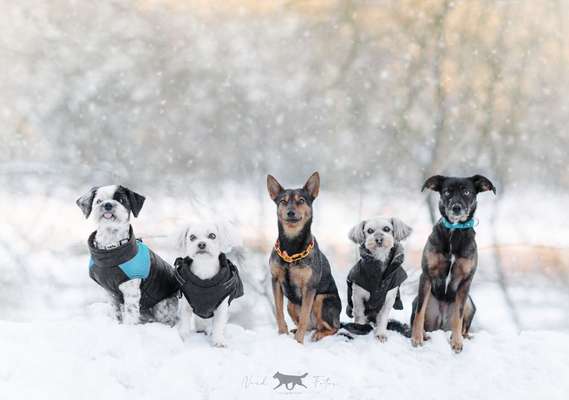 Welches Geschlecht ist euch lieber ?-Beitrag-Bild