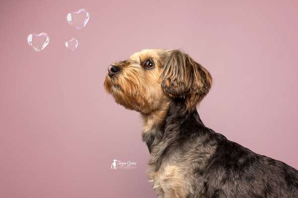 Austausch zur Fotografie-Beitrag-Bild