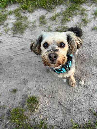 Lieblingsbild-Beitrag-Bild