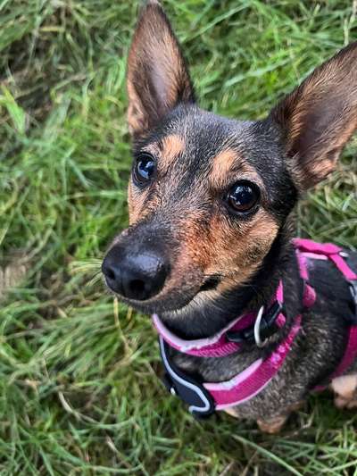 Lieblingsbild-Beitrag-Bild