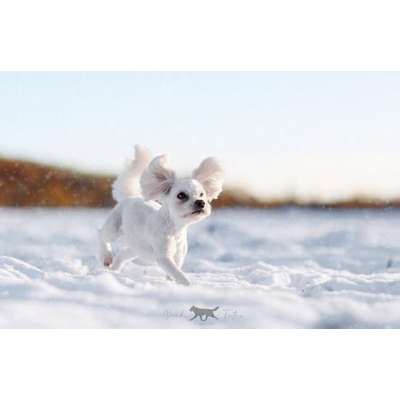 Schlechtes Gewissen-Beitrag-Bild