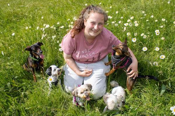 Wie kamst du zu deinem Hund?-Beitrag-Bild