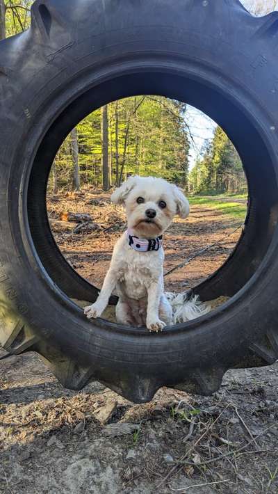 Doppelgänger gesucht !-Beitrag-Bild