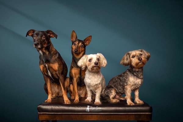 Zeigt eure Portraits-Beitrag-Bild