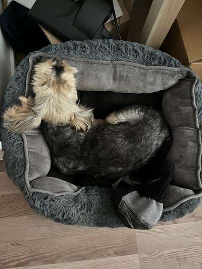 Ton in Ton-Beitrag-Bild