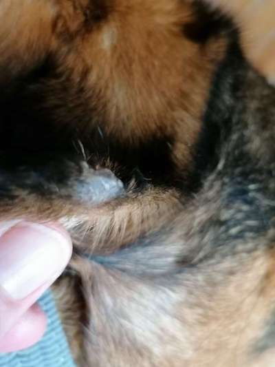 Was ist das?-Beitrag-Bild