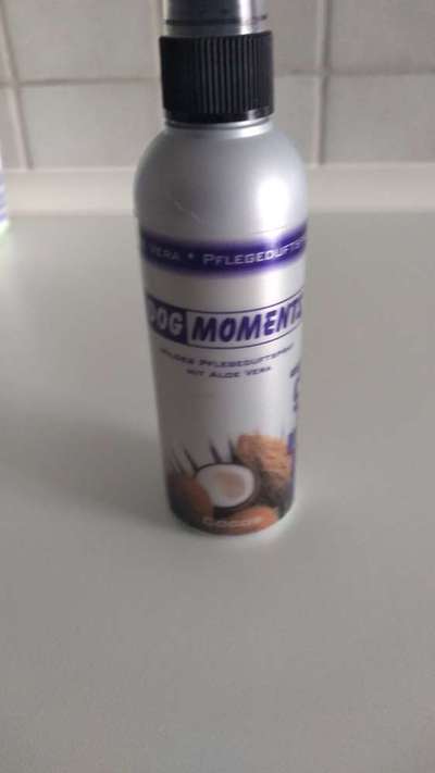 Zeckenstich - Tierarzt nötig?-Beitrag-Bild