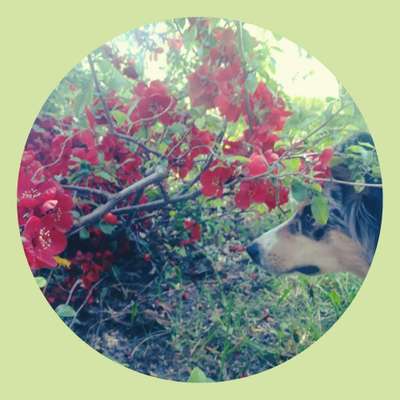 Lieblings Schnappschuss?-Beitrag-Bild