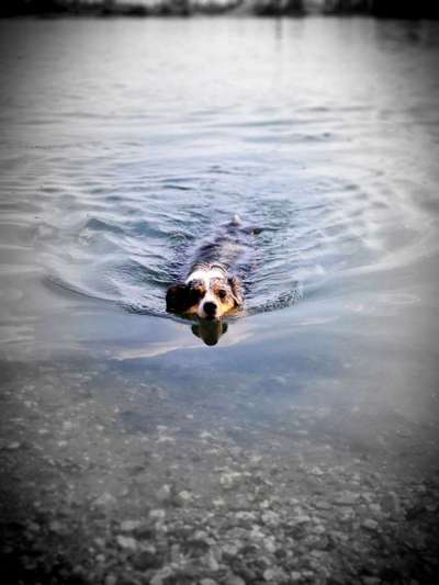 Foto Challenge - BEENDET - bitte aktuelle Challenge nutzen-Beitrag-Bild