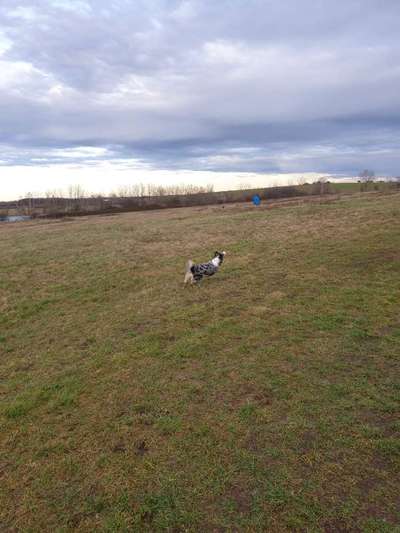 Zeigt doch mal eure Discdogs-Beitrag-Bild