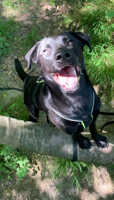 Theos  Fotochallenge Nummer 2-Beitrag-Bild