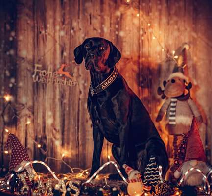 It's beginning to look a lot like.....-Beitrag-Bild